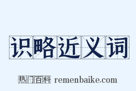 识略近义词是什么意思的图片